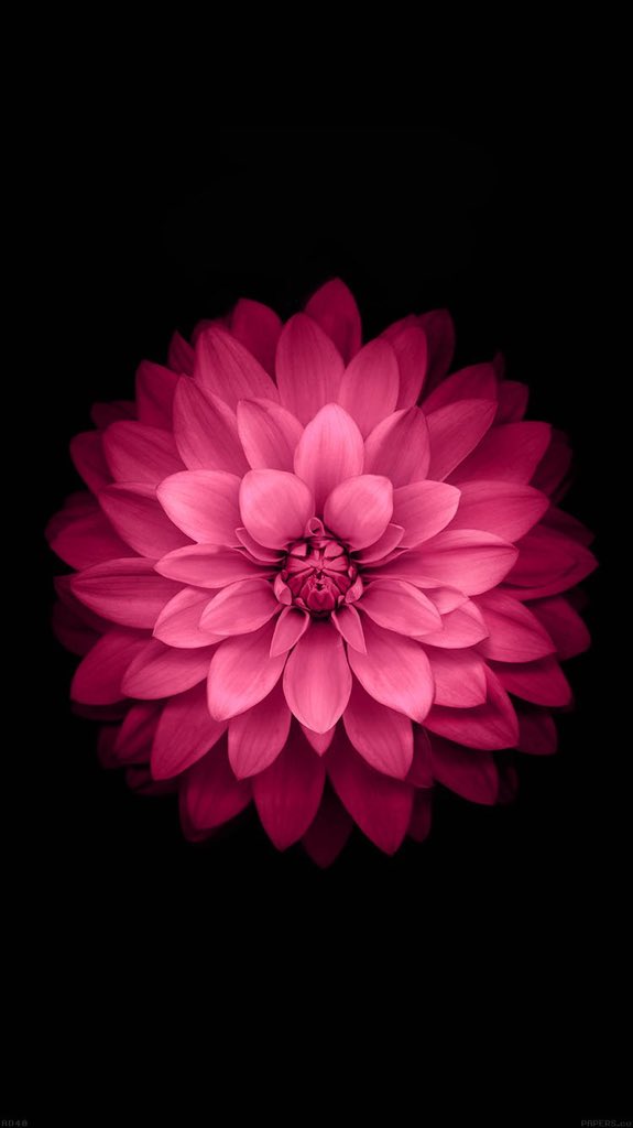_klfyat's tweet photo. -#iPhone 
#خلفيات أيفون https://t.co/IBbx8PzcAu