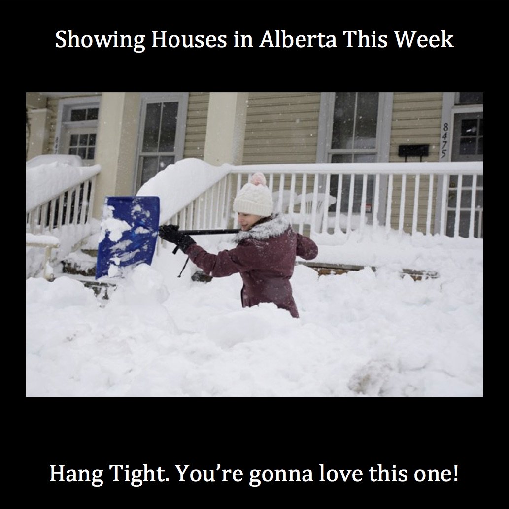 RealEstateREPs's tweet photo. A little snow never bothered us! We're realtors! #therepsgroup #alberta #snowday https://t.co/clZSxMqS5w