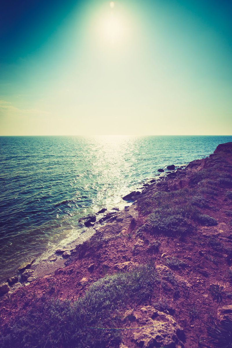 Sandy Ralya (@MentoringWives) | Twitter