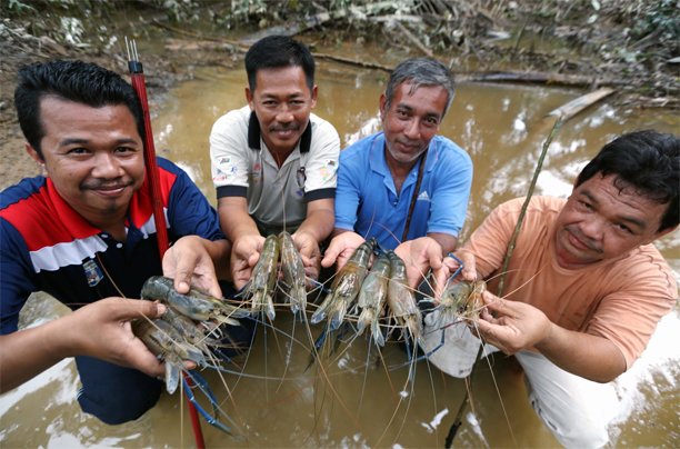 bharianmy's tweet photo. Pesta udang galah selepas banjir
#BHPLUS
Selanjutnya di https://t.co/9hDH63RkNd https://t.co/gYNGvDRqRb