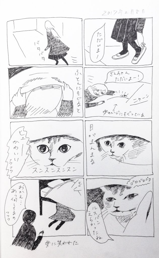 2017/2/8のぎんちゃん  #今日のぎんちゃん 