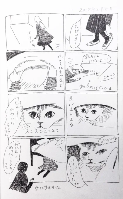 2017/2/8のぎんちゃん  #今日のぎんちゃん 