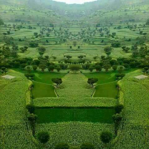 مشاعر من القلب اساتنال اعجابكم

ياسعد من عينه تشوف اديار
               وياسعد من يسكن بلاداليماني