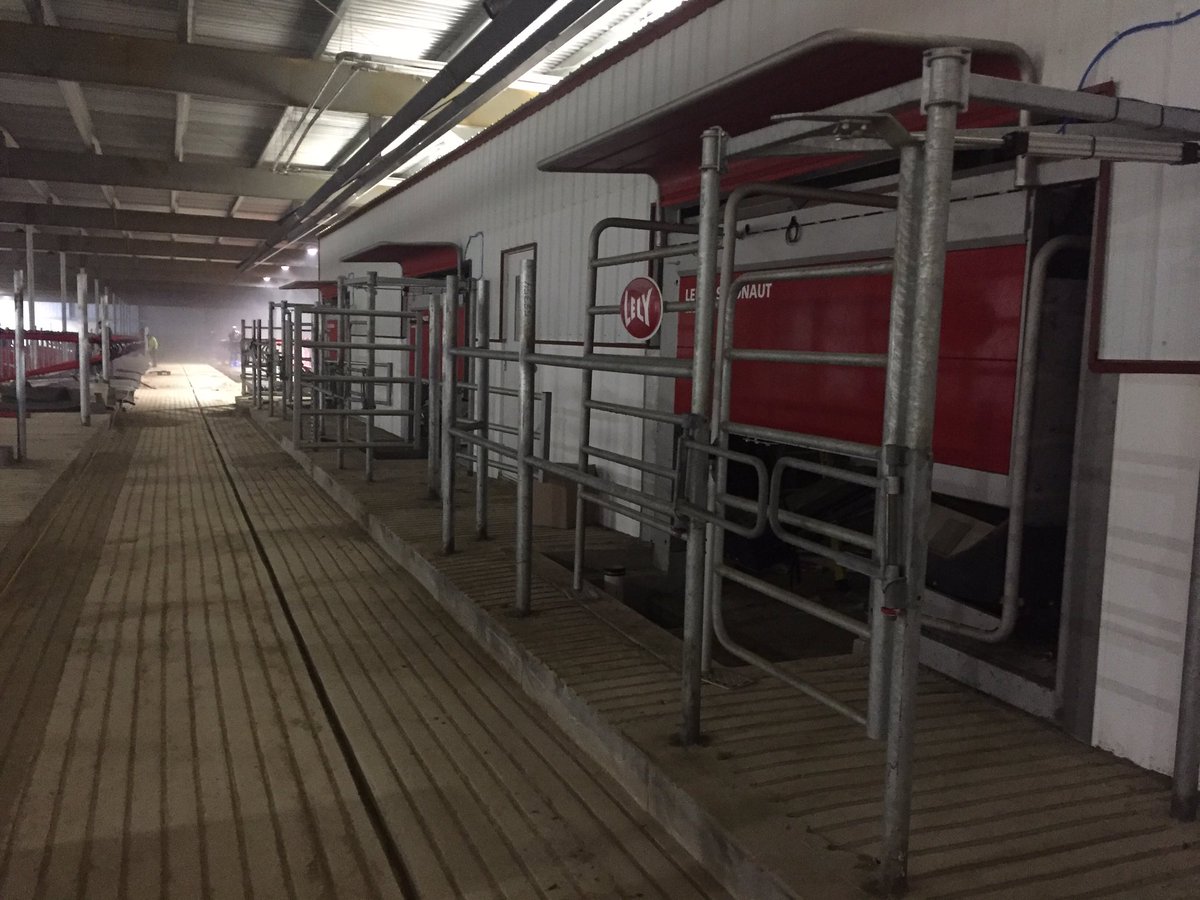 An inside look <a href="/HomesteadDairy/">Homestead Dairy</a> in Indiana where work is progressing for 24 milking robots. Looking good! #waytodairy #livelifelely
