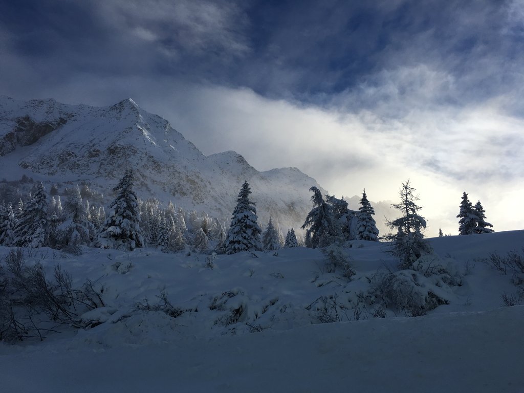 PassoTonale_ski's tweet photo. The most beautiful blue sky breaking through on the snow covered mountains. The perfect end a fantastic #Powder day. https://t.co/Ho4XFfx43I
