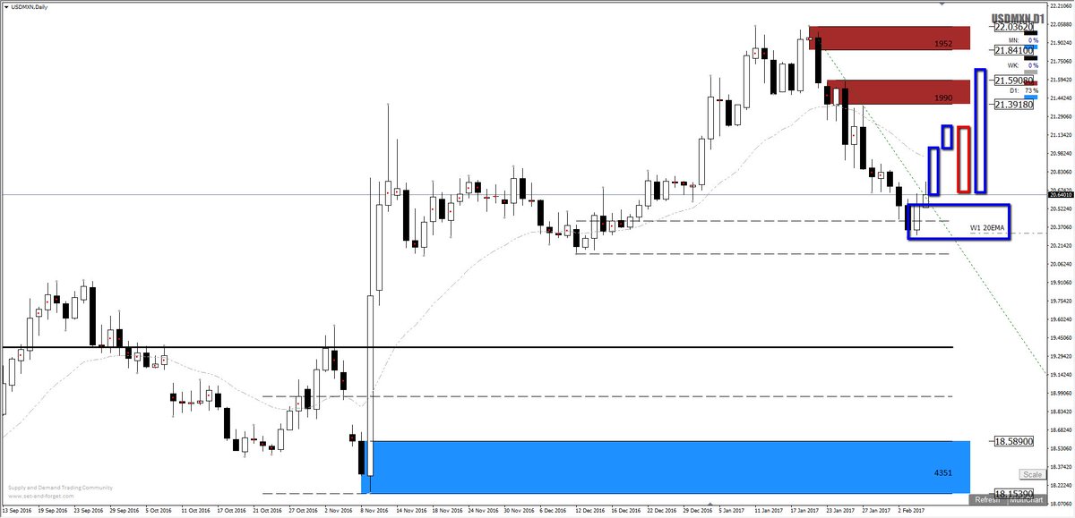 Forex nawigator