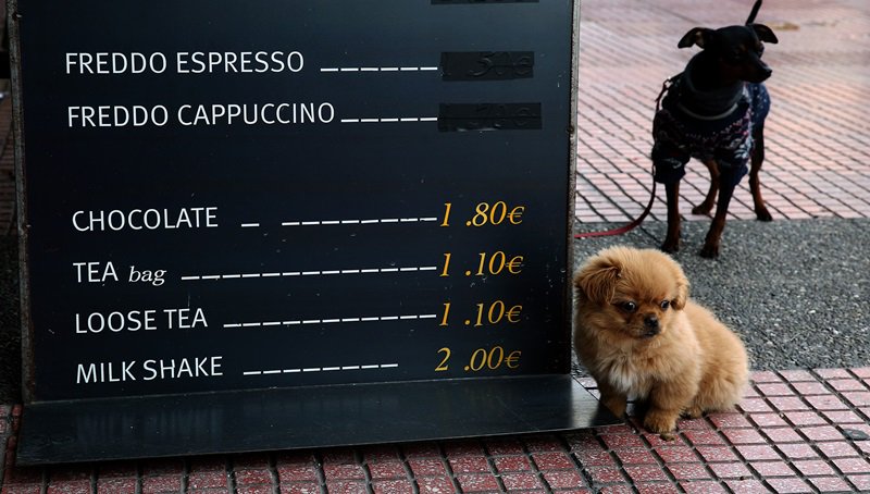amna_newseng's tweet photo. A puppy sits on the pavement next to a coffee shop on Panepistimiou street, in central #Athens (ANA/ Symela Pantzartzi) https://t.co/WkuJmRrSny