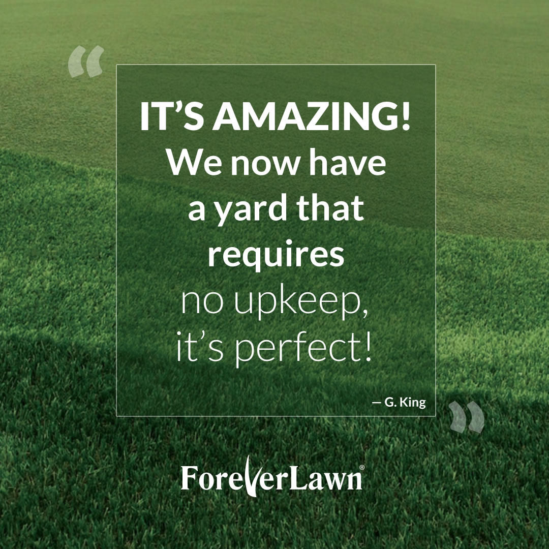 foreverlawninc's tweet image. "It's amazing! We now have a yard that requires no upkeep, it's perfect!" #TestimonyTuesday #GrassWithoutLimits