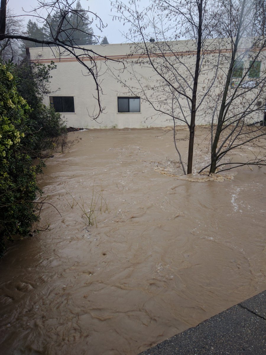 CutterStark's tweet image. #rossvalley #sananselmo #marincounty Creek in San Anselmo at 14 ft this morning at 8:20