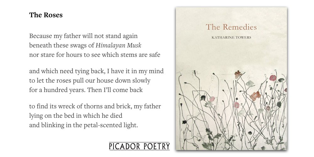 picadorbooks's tweet photo. Take a few moments to read this startlingly beautiful poem about nature and loss by @TowersKatharine... https://t.co/drJ3ScXvYy
