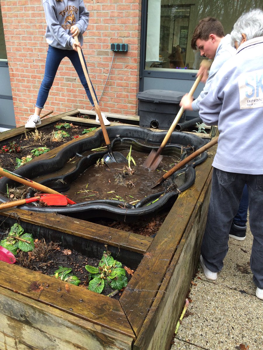 ISBNewsTeam's tweet photo. The engineering design class remodelling the pond outside          #mslearns #isbnewsteam https://t.co/z0Q0QwiGI2