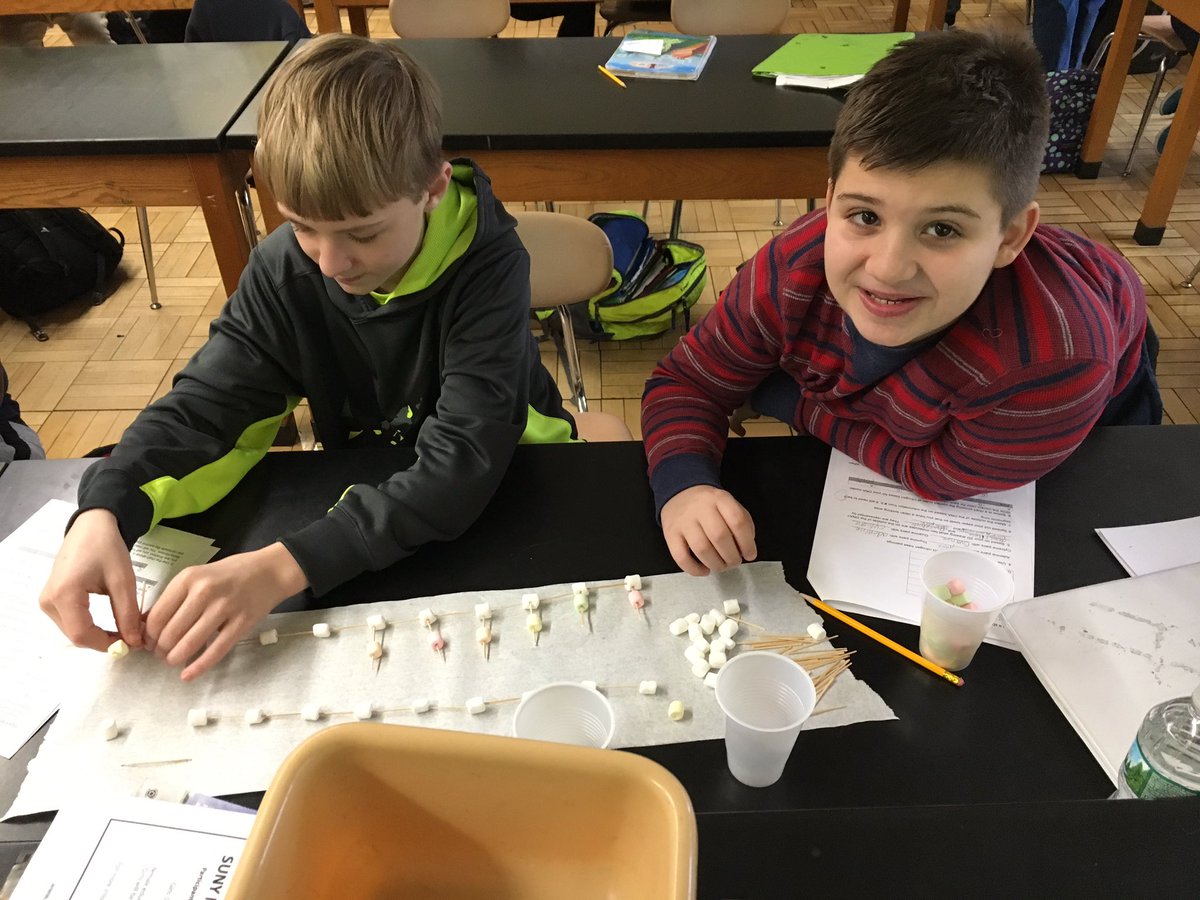 Team5LifeSci's tweet photo. Our marshmallow DNA models from last week because I can never remember to post things on time. #handsonlearning #learningwithsnacks https://t.co/aZQbmcAmb3