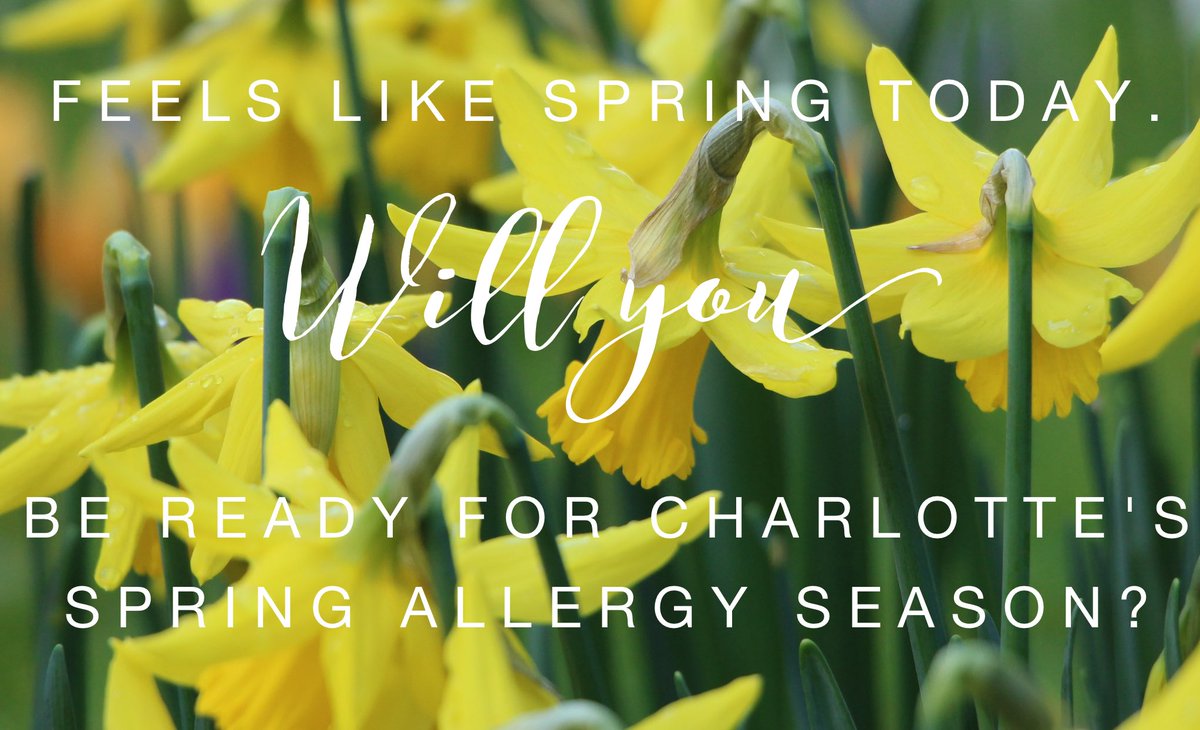 CAAC1952's tweet photo. Feels like spring's coming early to the #QC . Will you be ready for the #SpringAllergySeason this year?#breathelivethrive #charlottenc https://t.co/mygDOaEvkC