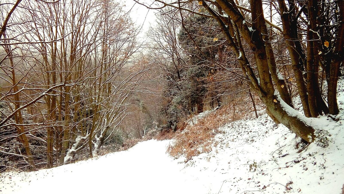 Santmarcal28's tweet photo. ¿Tens ganes de respirar aire pur i allunyar-te de la ciutat? Si és així no t'ho pensis més i apropa't al Restaurant Sant Marçal! 🌲 #Montseny https://t.co/4lJbvp3gKU