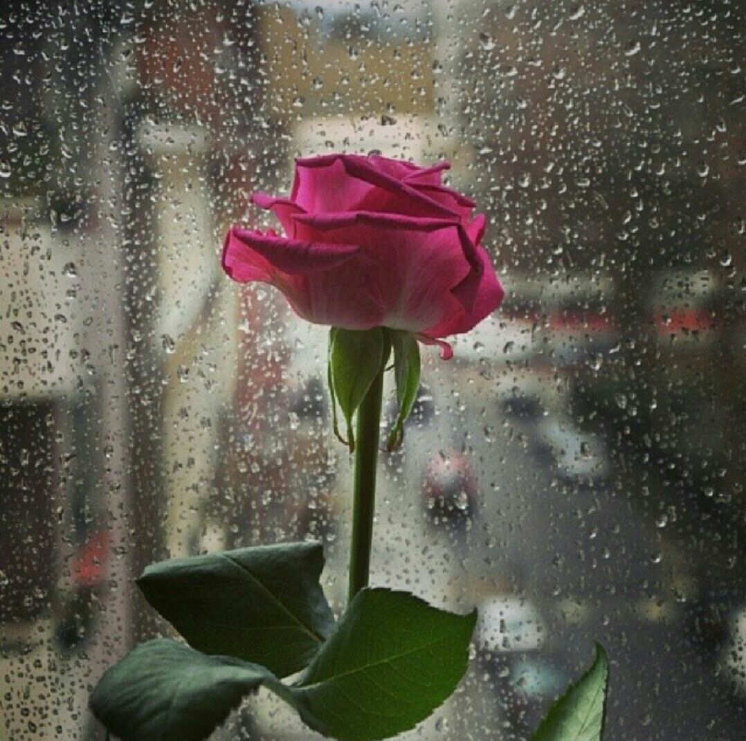 7aM110's tweet photo. 'القوة هي ان تصنع من حالة الانكسار ..
بداية حلم جديد.' https://t.co/vsJtckj31v
