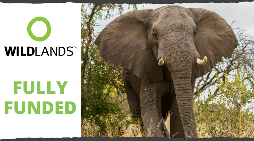 DifferentLifeSA's tweet photo. Thank you to everyone who supported @DifferentOrg's project with Wildlands - It is fully funded! #DifferentDonation https://t.co/NbnkBUBKzk