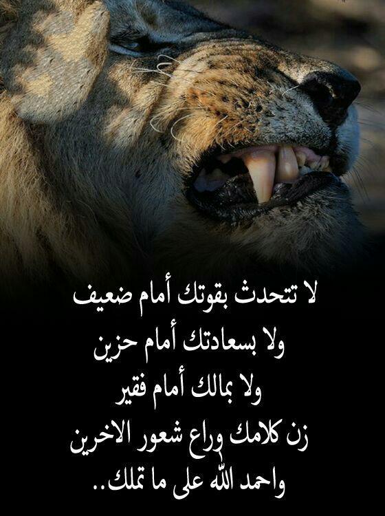 الحمدلله دائما وابدا 🌷