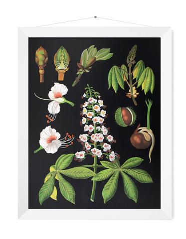 Wallography's tweet photo. Wall chart anyone? @homesandgardens https://t.co/2HZ4DlKcw4 https://t.co/JXPavZTlHm