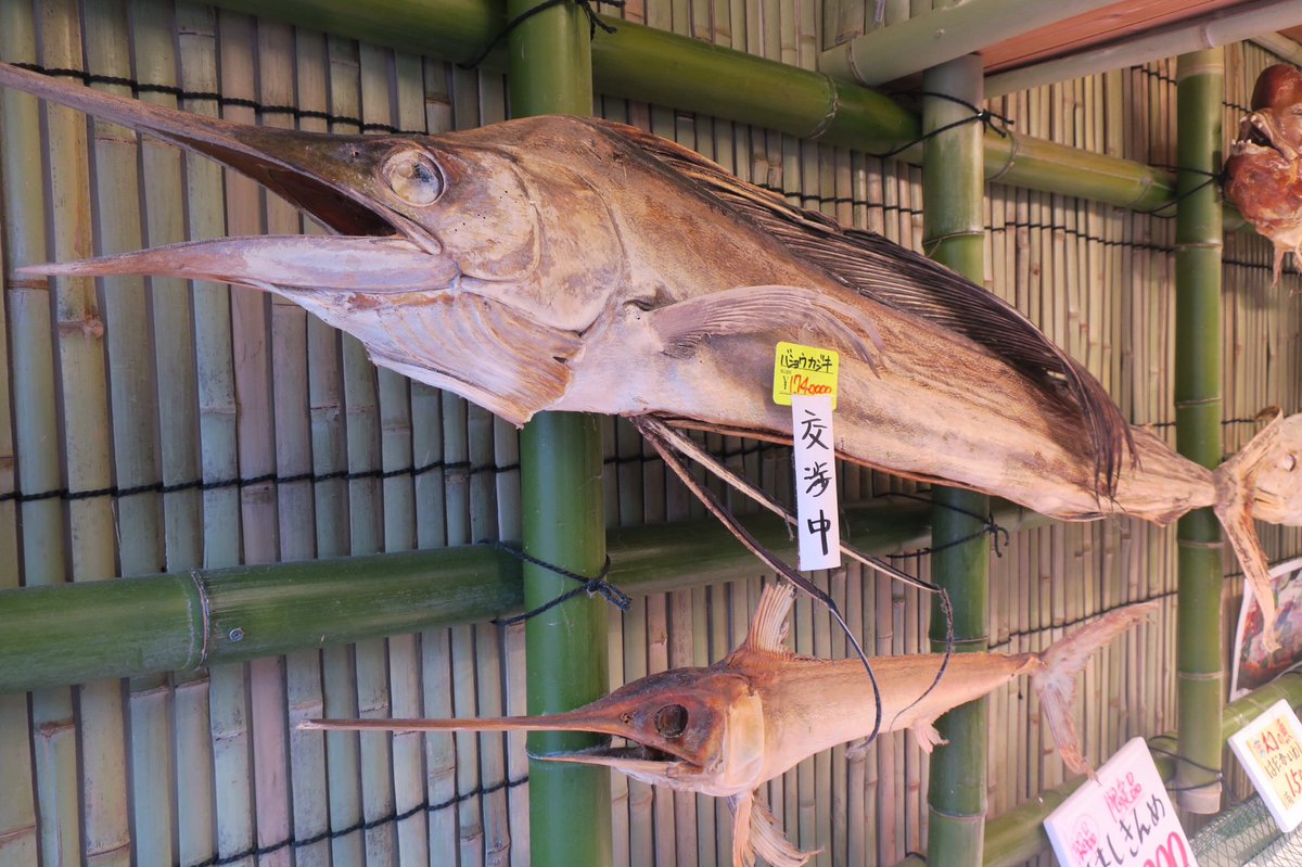 伊勢のとある干物屋さんが商品も値段ももういろいろ衝撃的過ぎて 三度見した これは高いのか安いのか Togetter