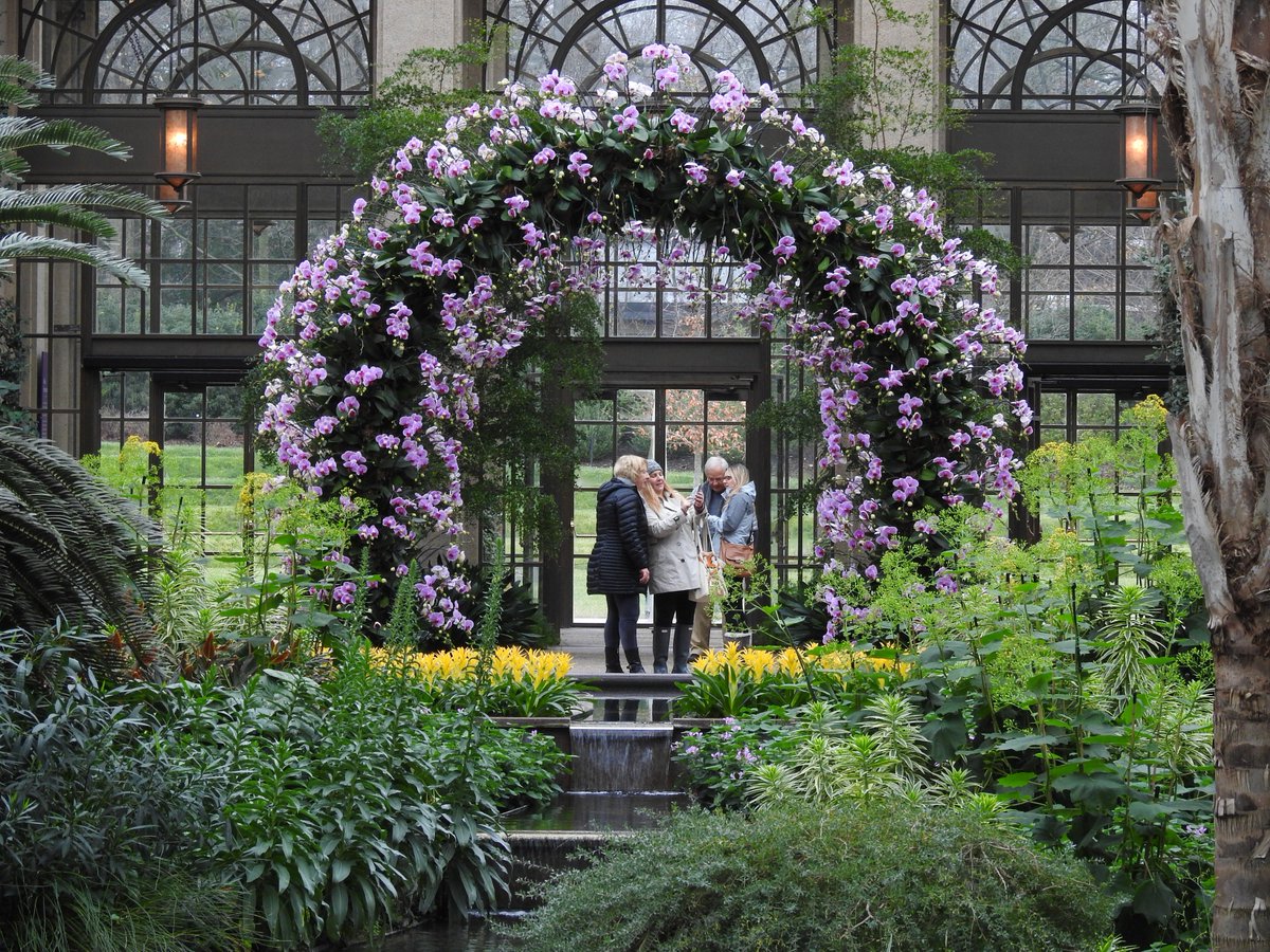 longwoodgardens's tweet photo. A 12-foot-tall orchid archway welcomes guests into the Conservatory during #OrchidExtravaganza https://t.co/ONZQhvycTc