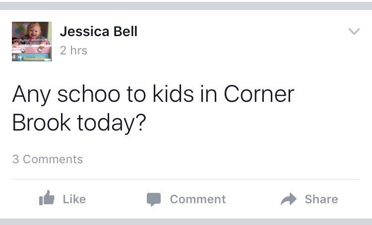 CBrookScumbag's tweet photo. #CornerBrookClassifieds https://t.co/OkFR39Vk8W