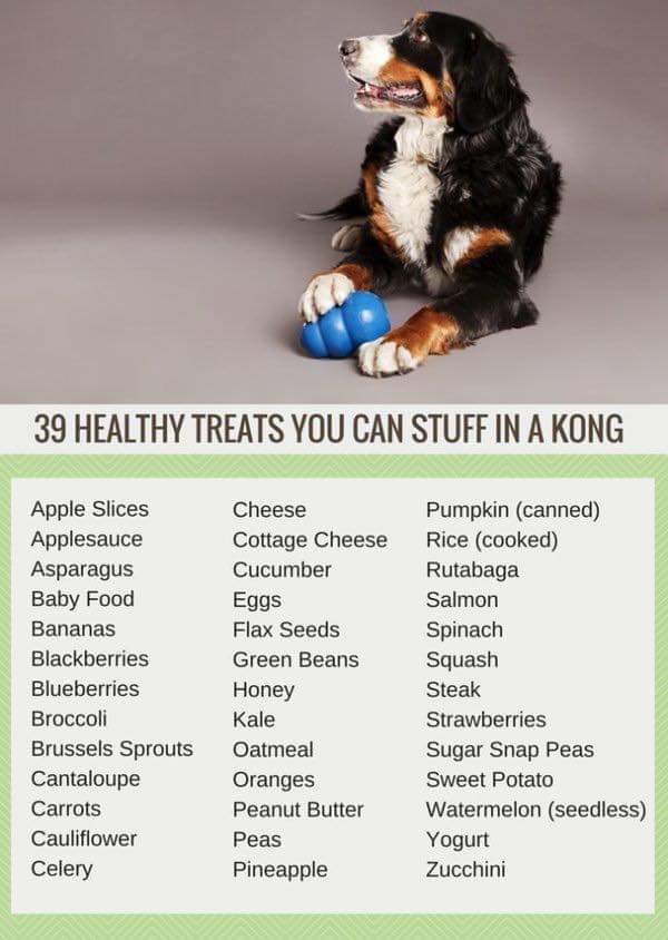 Kong stuffing ideas for keeping your dogs occupied &amp; happy. Soggy kibble works too, and natural peanut butter is always a crowd pleaser :)