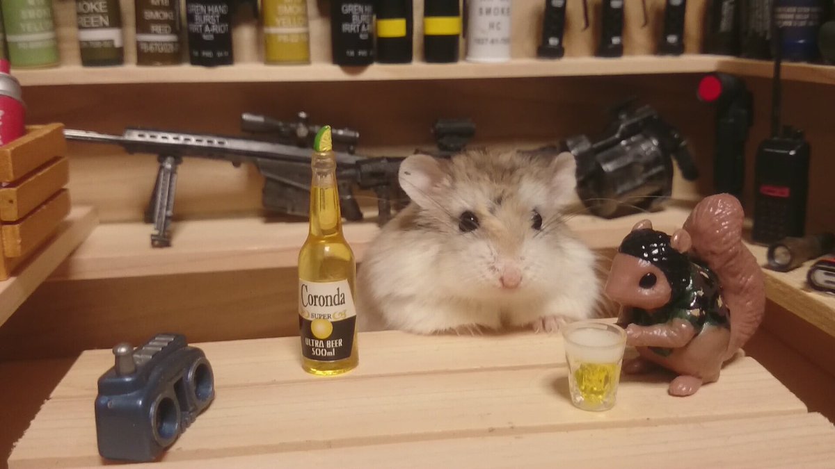 ハムスターの鉄平 On Twitter ジョニー少将 人は死を前にしたとき やり残したことや チャンスを逃したことを 思い出し 後悔することが あるらしい だから やれるときや出来る時に やりたいことはやっておくべ 聞いてんのかテメエ