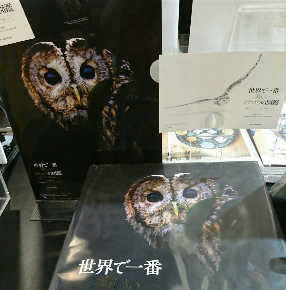 パルコブックセンター Twitterren 世界で一番美しいフクロウの図鑑 エクスナレッジ 表紙を飾るハート顔のフクロウ 先着でこちらのa4クリアファイルをプレゼント中 登場するどのフクロウも美しく 愛らしくて見応えたっぷりの1冊です 吉祥寺店