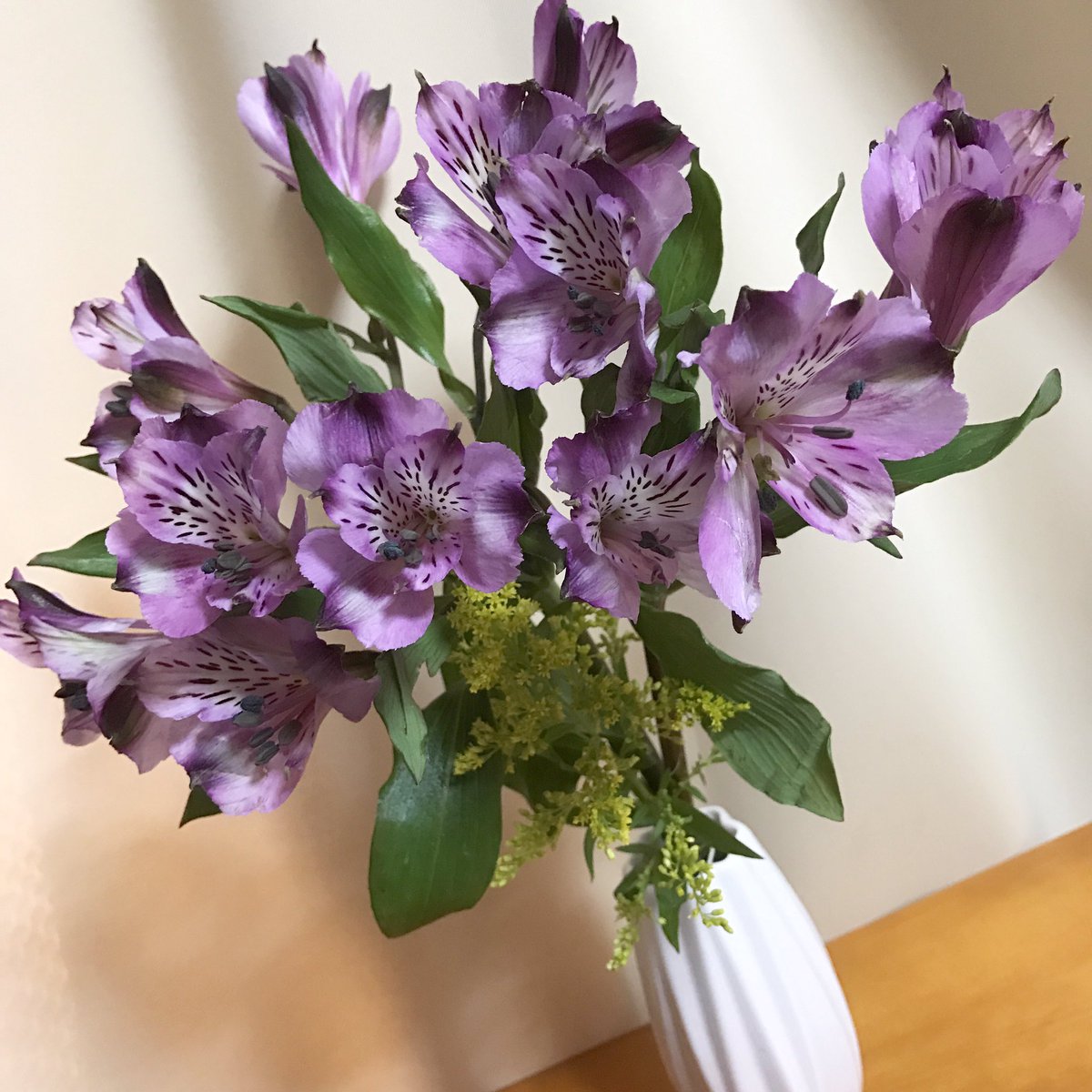 Hi63ki 今日のお花 アルストロメリア 花言葉は 持続 未来への憧れ エキゾチック 花 Flower Flowers Ufnefleur 切り花 アルストロメリア 百合水仙 インカの百 Alstroemeria Peruvianlily 花言葉 T Co Bgktrwxndx