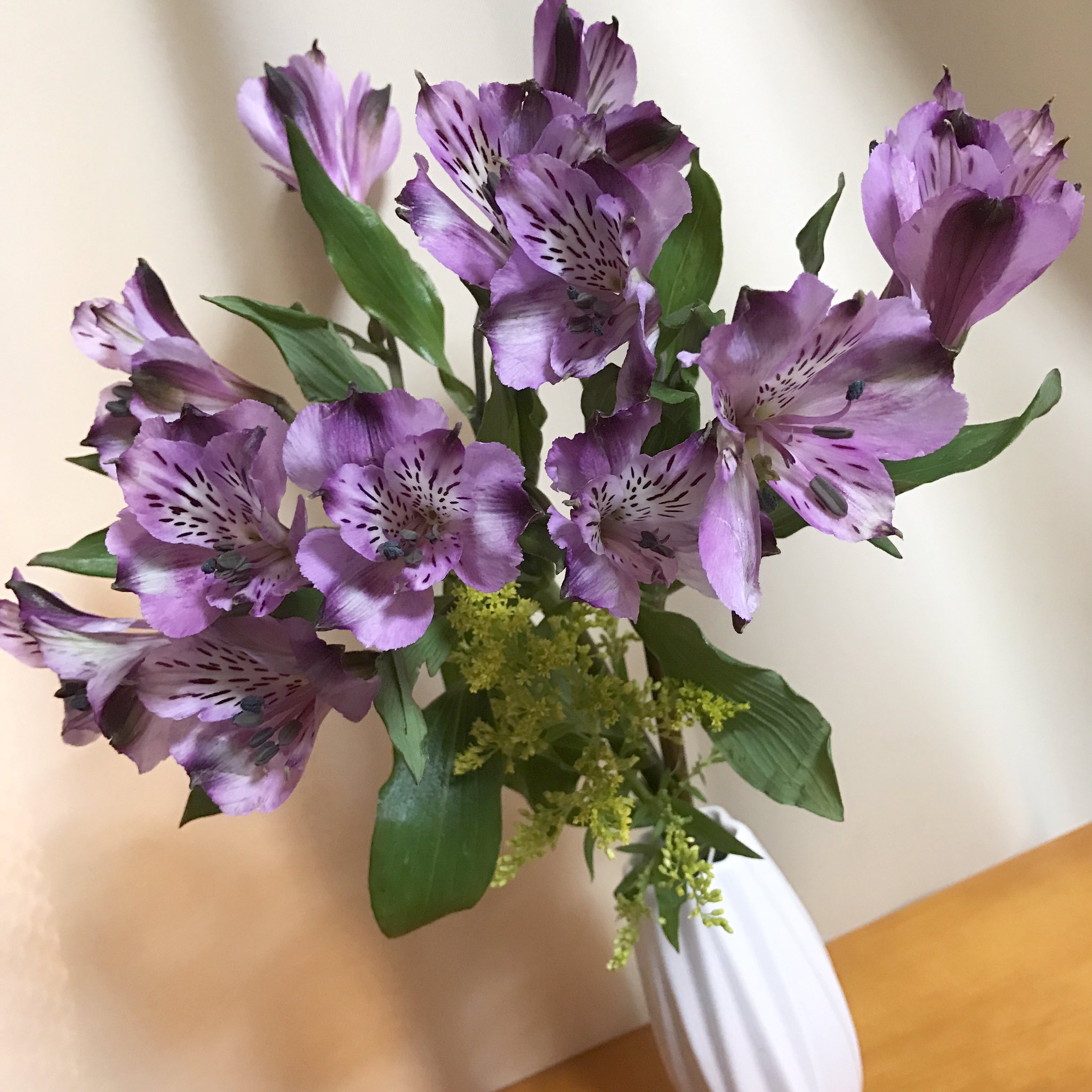 Hi63ki 今日のお花 アルストロメリア 花言葉は 持続 未来への憧れ エキゾチック 花 Flower Flowers Ufnefleur 切り花 アルストロメリア 百合水仙 インカの百 Alstroemeria Peruvianlily 花言葉 T Co Eryqie6bpa Twitter