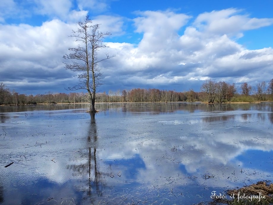 lausitzbranchen's tweet photo. Spreewaldwiese zwischen #Boblitz und #Raddusch unter Wasser - #Spreewald #Landschaft #Fotografie https://t.co/MDco6YVf3n