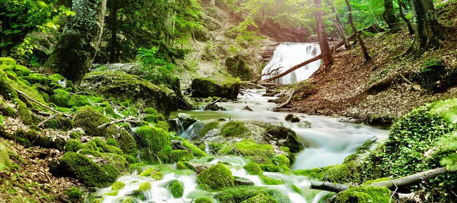 ScienceMomNet's tweet photo. Teaching Kids About Ecosystems https://t.co/iUupAu0uMQ https://t.co/rDJMD6boq5