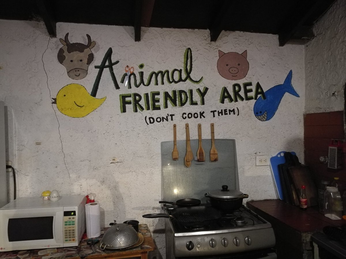 CarbonCycleKate's tweet photo. Favourite hostel so far! @casadelritmo #thelifecycle #adventureplus #greatethics #greatvibe https://t.co/9vzwPMw8Eh