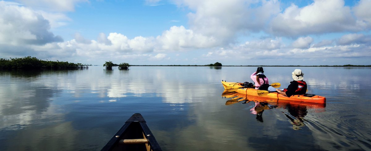 Reel_Time's tweet photo. Joe Bay Reopens: The Everglades Newest No Motor Zone - Florida Sportsman

https://t.co/XaJhZwFlXy https://t.co/zJTR9OEgTa