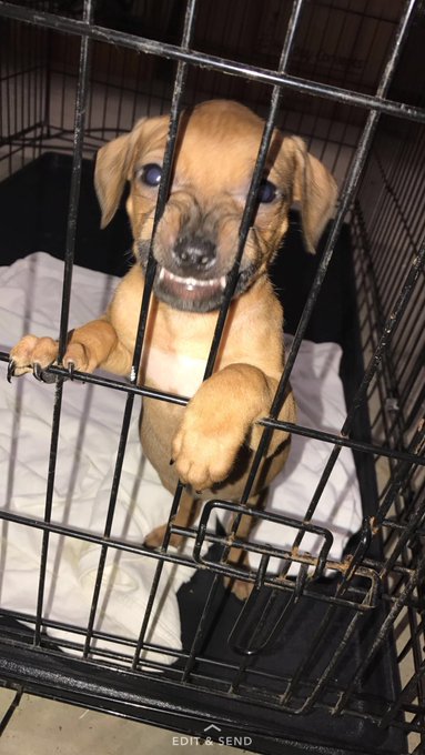 Watch Da DON 🎀's leaked NSFW photo on TwXstars