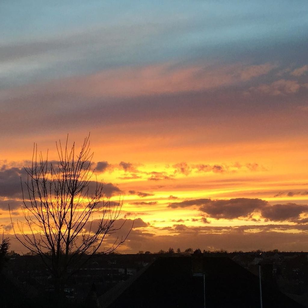 Marianne_Weekes's tweet photo. Sunset. #instapicture #photooftheday #sunsetoftheday #sunsetsoftheworld #sunsetsofinstagra… https://t.co/vhkrz6q4LH https://t.co/CiWNUPTHaW