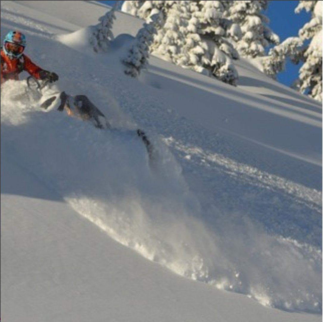 CarlKusterMtnPk's tweet image. It&apos;s getting deep again! 2-3ft of new fresh in the last 30 hrs. #sledsicamous #forty7c #itswhatsnext #skidoo #ckmp #freeriding #brp #braap