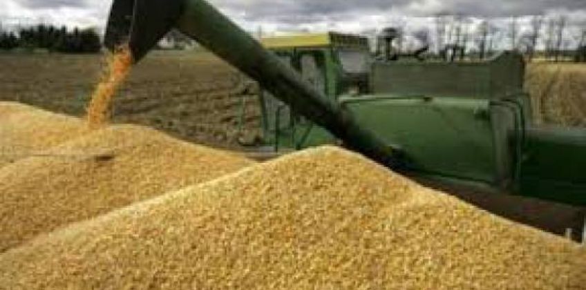 Importation des céréales durant l'année 2016 #importation_céréales
Consulter : commerce.gov.dz/statistiques/i…