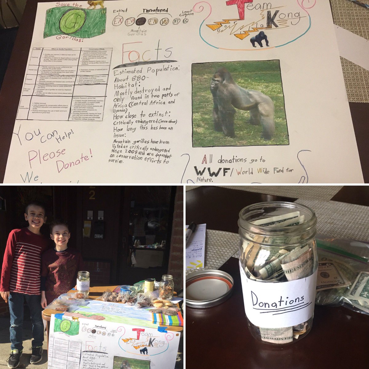 fssdMES's tweet photo. 3rd graders Isaiah&amp;Kale started a club to save gorillas after studying rainforests.They set up a booth this weekend in Franklin&amp;raised $175! https://t.co/QYHprwGoa7