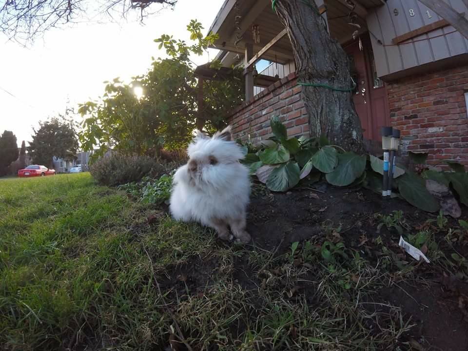 cutemangos tweet picture