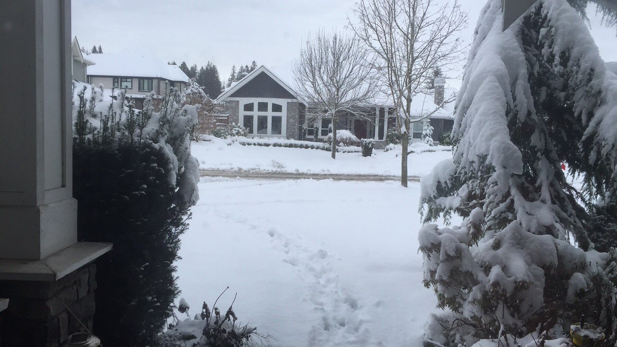 MrsDyck'sClass tweet media