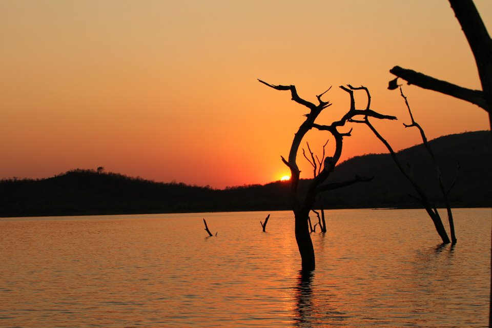 KaribaHouseboat's tweet photo. The Abangane Houseboat getaway. Absorb the peace of the water, wildlife and sunsets and rejuvenate your soul.
Go to https://t.co/OktkoD58Eo https://t.co/oi7w1CrcOt