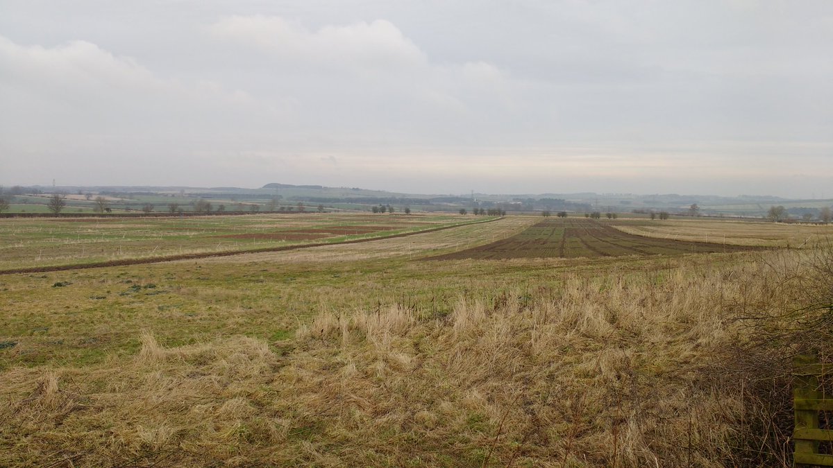 AgricultureNCL's tweet photo. Another shot from yesterday's #soilcollection and #germinationcounts. A nice view of the #HMCUK trials at Nafferton @afrdncl https://t.co/1MI6PiyW33