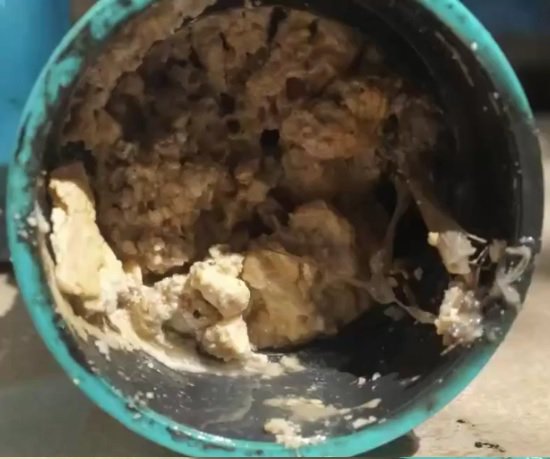 GForcePlumbing's tweet photo. #TuesdayTips #plumbing #gforceplumbing #atlantaplumbers
Five things you should never put down the drain 
https://t.co/pmSQjxytQi https://t.co/GeiW2WXV9Z