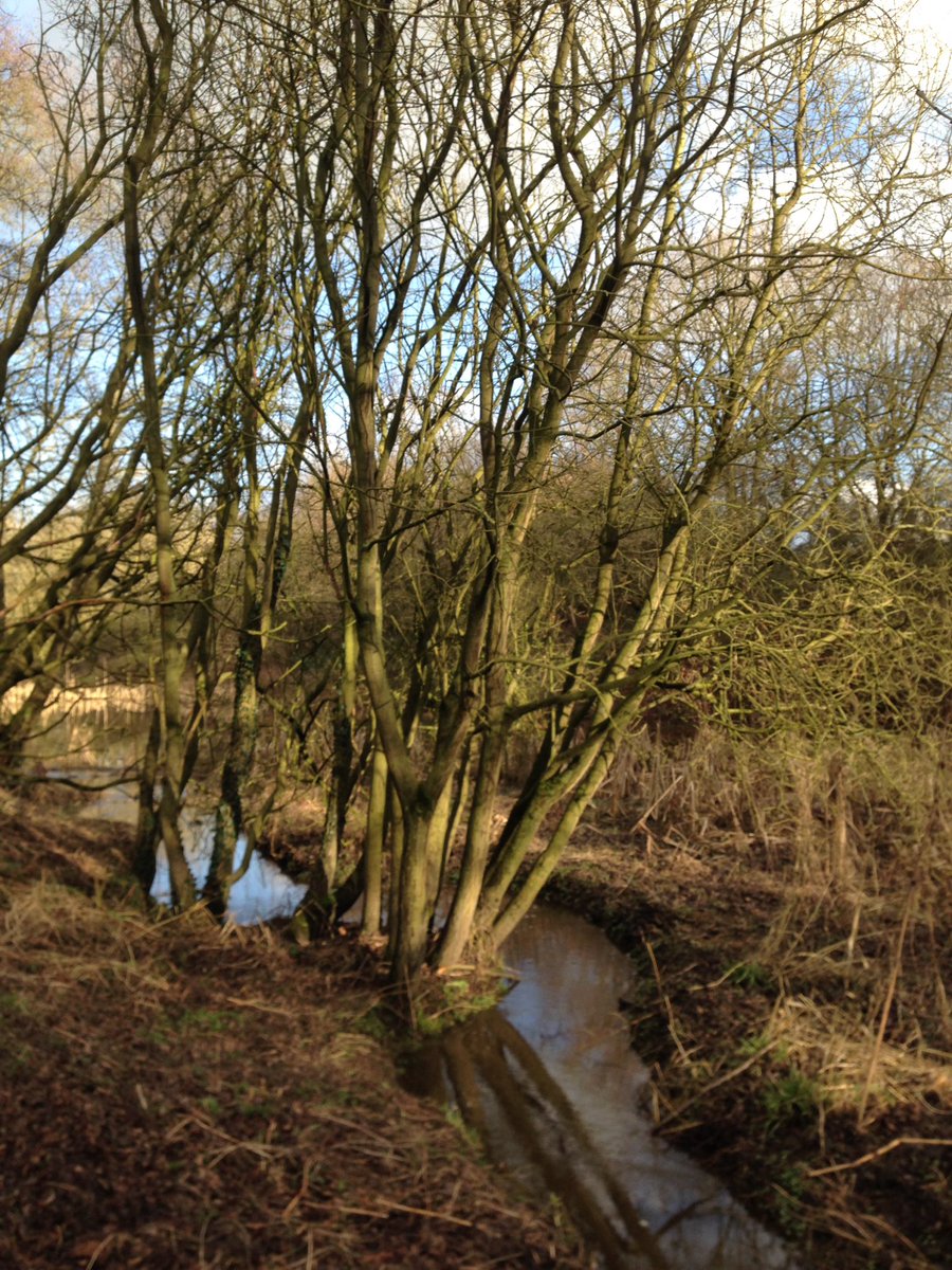 #RedRiverNatureReserve #Loscoe #Derbyshire with <a href="/xxxphoebekxxx/">Phoebe Williams</a>