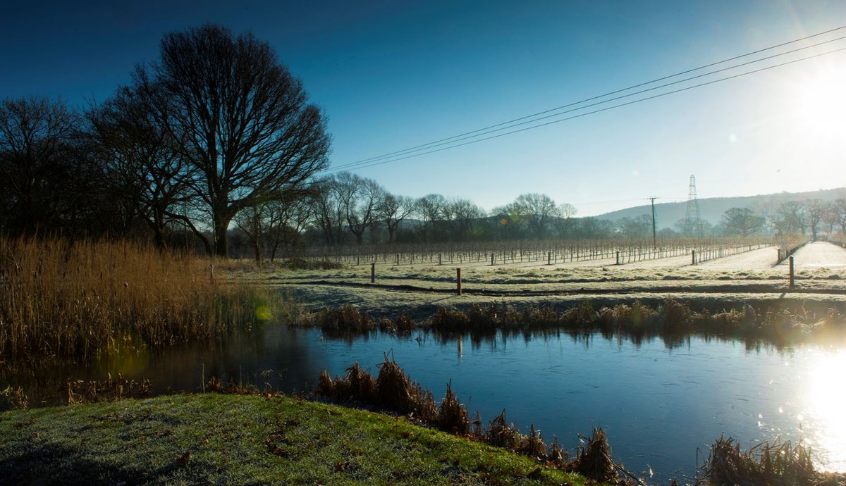We’re proud to support #SomersetDay with @pardoesllp <a href="/wykefarms/">Wyke Farms</a> <a href="/milesteacoffee/">Miles Tea & Coffee</a> to champion our amazing county.