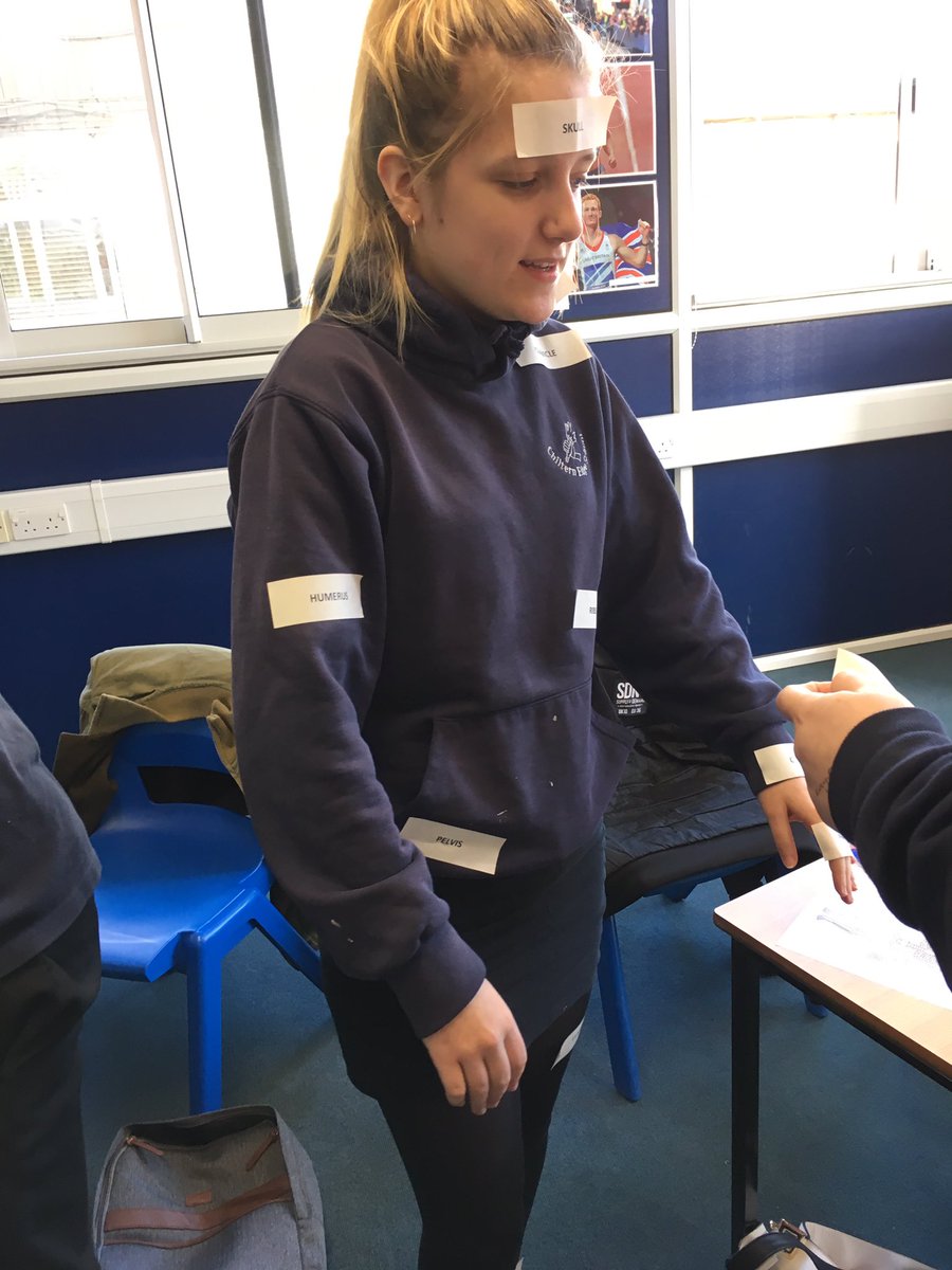 ChilternEdgePE's tweet image. GCSE students revising the skeletal system #gcseperevision