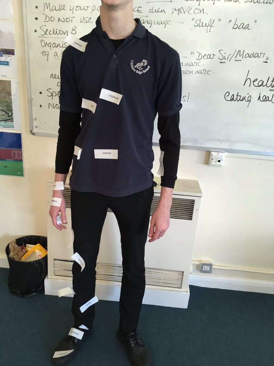 ChilternEdgePE's tweet image. GCSE students revising the skeletal system #gcseperevision