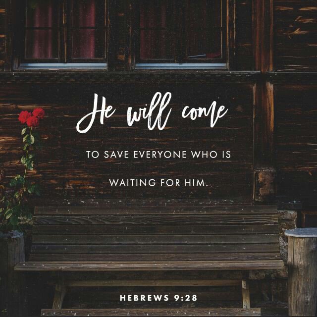 TexasBigDaddy's tweet image. 