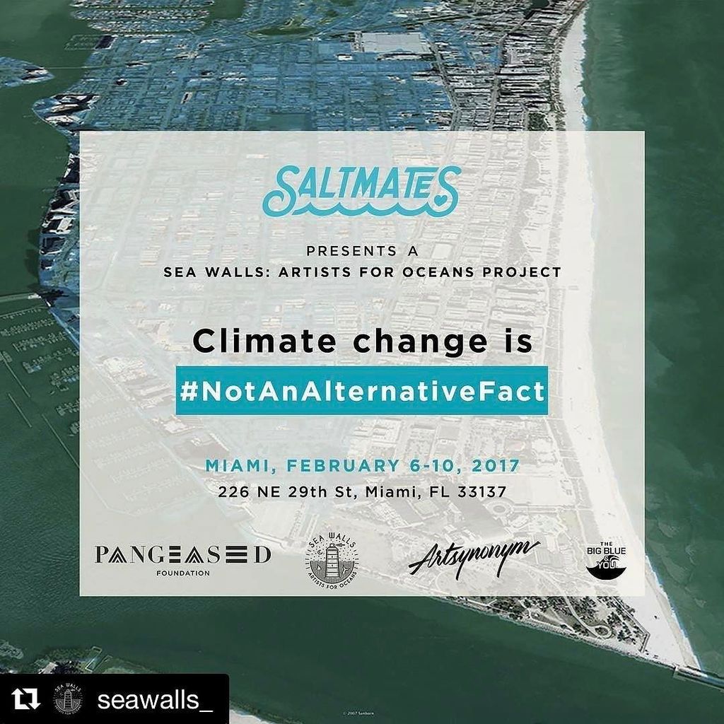 Going on this week. #Repost @seawalls_ ・・・
@pangeaseed Foundation is pleased to announce t… ift.tt/2llXe8f